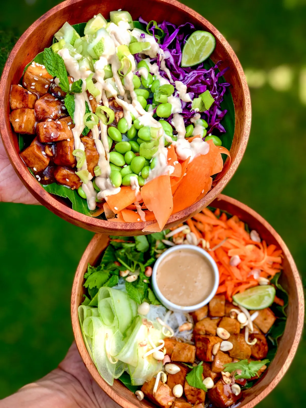 Two plant-based bowls with tempeh, edamame and fresh vegetables at Luana Bowls