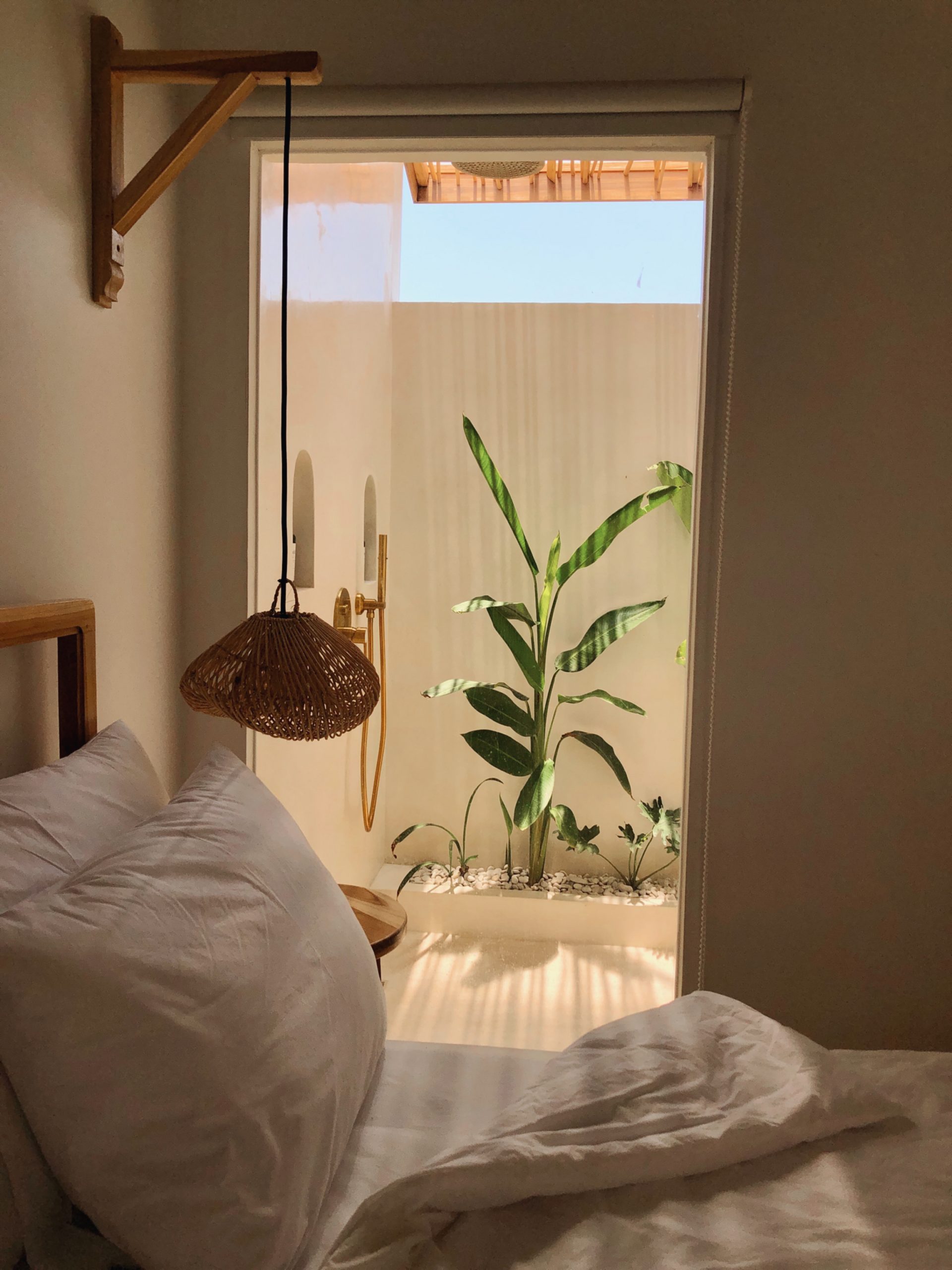 9F262799-4BEA-4CF7-A388-F907C6A5A56C